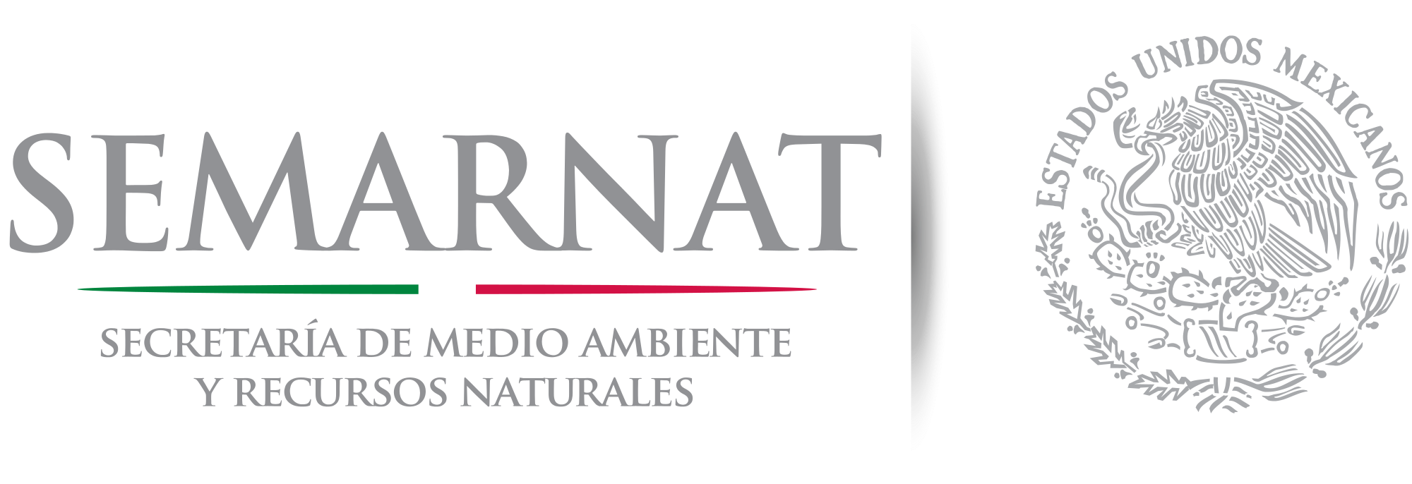 tarimas de madera en guadalajara